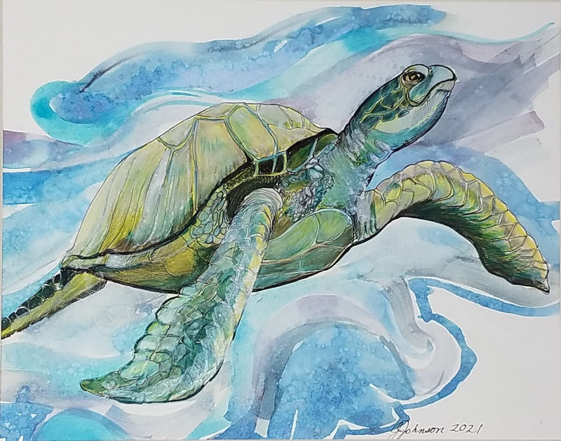 Sea Turtle watercolor by Jacqueline Johnson.